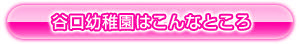 谷口幼稚園はこんなところ